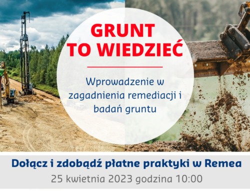 Letnie, płatne praktyki w Remea