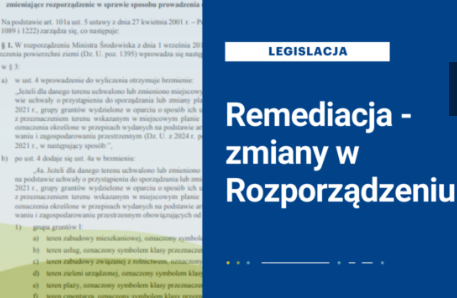 remediacja zmiany w rozporządzeniu